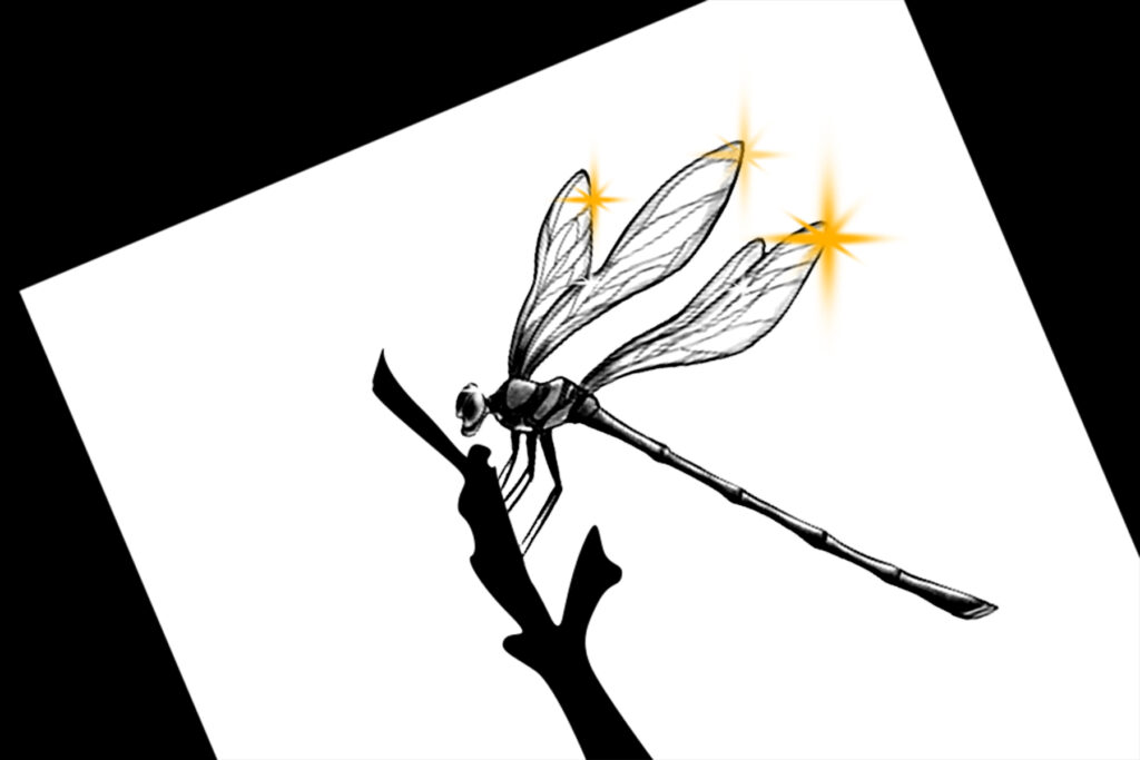 Drogonfly